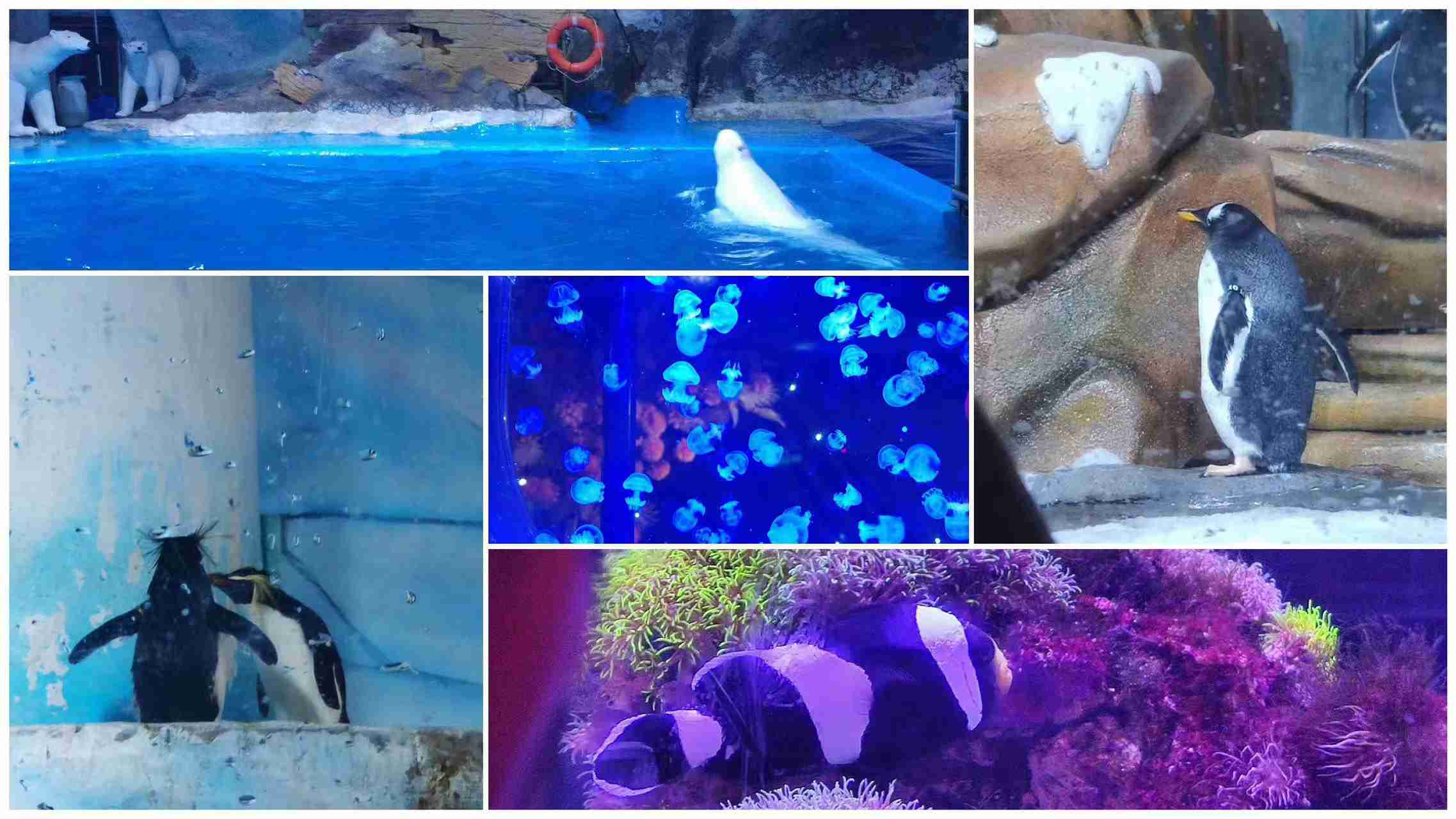 永利集团·yl(中国游)官方网站